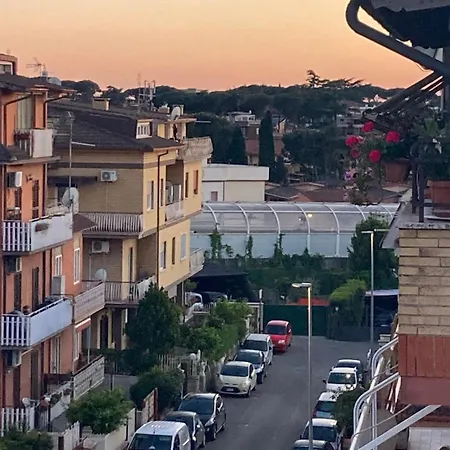 Il Di Letizia Daire